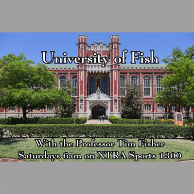 The Richard Randall Show