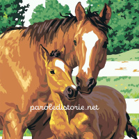 Il cavallino e il fiume. Una favola dalla Cina.