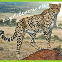 Il leopardo e il monaco. Una fiaba africana