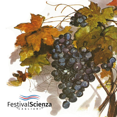 Pinocchio, Di Carlo Collodi - Parole Di Storie