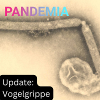 Was macht die Vogelgrippe?