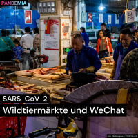 SARS-CoV-2 | Wildtiermärkte und WeChat