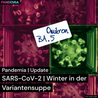 Update | SARS-CoV-2 | Winter in der Variantensuppe