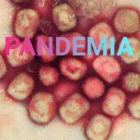 Update: Mpox hoch vier