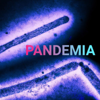 Update | H5N1: Herden, Hühner, Hirngespinste