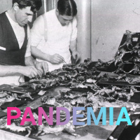 Pest (5) | Das Erbe der Pandemie