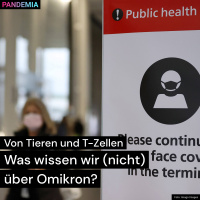 Von Tieren und T-Zellen | Was wissen wir (nicht) über Omikron?