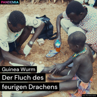 Guinea Wurm | Der Fluch des feurigen Drachens