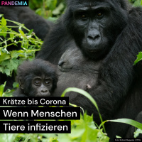 Krätze bis Corona | Wenn Menschen Tiere infizieren