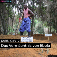 SARS-CoV-2 | Das Vermächtnis von Ebola