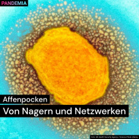 Affenpocken | Von Nagern und Netzwerken