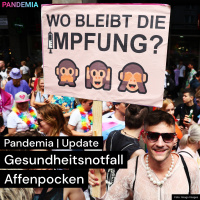 Update | Gesundheitsnotfall Affenpocken