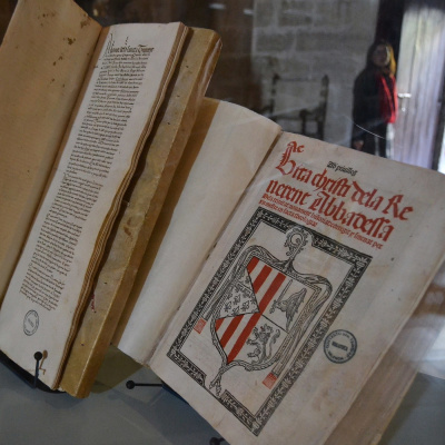 Els Viatges De Carlos Carlos