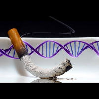 Shorts: “Y” Smoke?