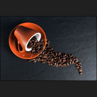 Shorts: I Scream, You Scream, We All Scream for Coffee Beans