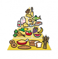 Shorts: You are what you eat?