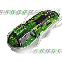 Shorts: What if Bacteria Have Memory