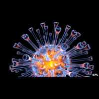 Shorts: Super Viruses to the Rescue!