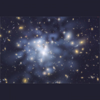 Shorts: The Invisible Phenomenon