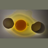 Shorts: Deliciously Unboiled