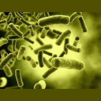 Shorts: Biocontainment