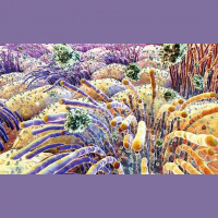 Shorts: Why Viruses Love the Cold