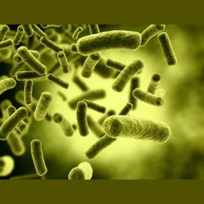 Goggles Optional Shorts