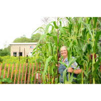 Ep.167 Building an Eco-Cabin, Part 2