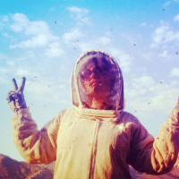 Bees: Swarm Essentials