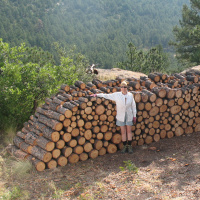 Audio Article: Forest Restoration