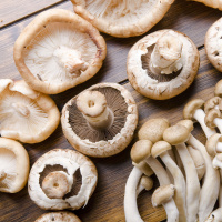 Ep. 26 Marvelous Mushrooms