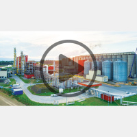 Audio Article: Food Versus Fuel