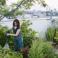 Ep. 22 Writing Urban Ag Policy