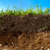 Ep. 46 Building Soil