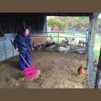 Audio Article: Farming with Disability