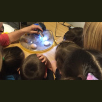 Ep 55.2 Incubation Check-In