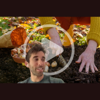 Gardening in the Fall with Farmer Nick