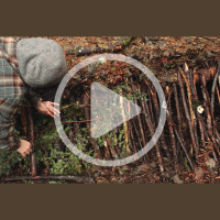 Audio Article: Build a Basic Survival Shelter