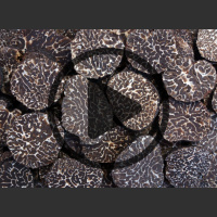 What’s the Deal with Truffles?