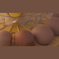 Ep. 55 Chicken Keeping in School