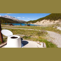 Ep. 28 The Scoop on Poop