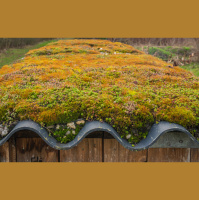 Ep. 186 Learn to Build with Natural Materials