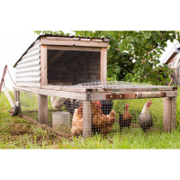 Coops, Brooders, and Chicken Houses