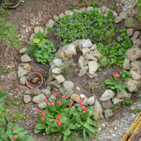 Ep. 44 Permaculture Ethics