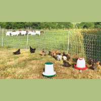 Ep. 62 Polyface Rotational Farming