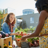 Bees: Bees and Homesteading