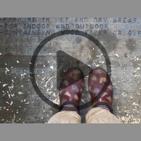 Audio Article: Essential Elements for a Predator-Proof Coop