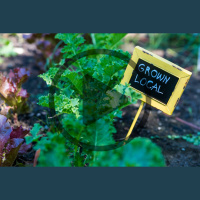 Sustainability and Community: A Talk with the 2023 Mother Earth News Voices