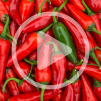 Ep. 188 Spicy Chiles: What Makes Peppers Hot?