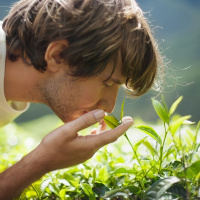 Ep. 50 Mens Herbal Health